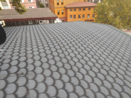 OSB ve Shingle desenli membran çatı